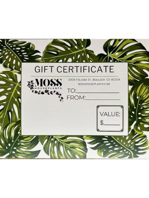 Gift Certificates