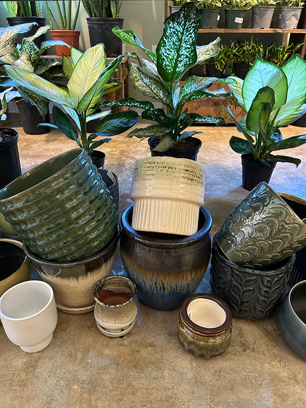 Perfect Pots